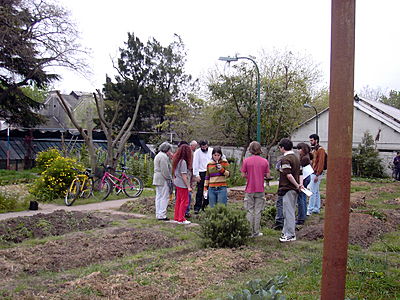 borda-gruppe.JPG