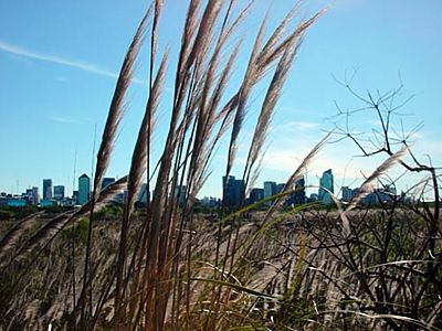 reserva-skyline.jpg