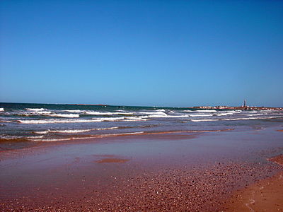 PICT1735.JPG