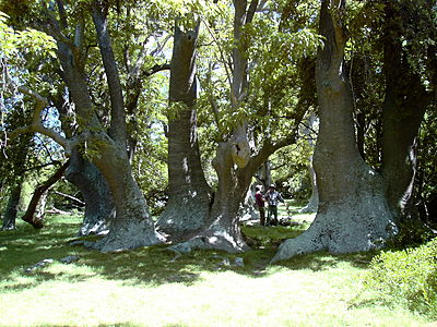 PICT1780.JPG