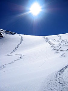 piztal 221.jpg