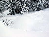 Bild 099.jpg Bild 099.jpg