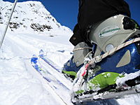 piztal 139.jpg piztal 139.jpg