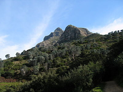 Picture 024.jpg
