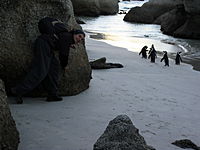 Picture 166.jpg Picture 166.jpg