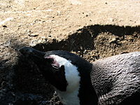 Picture 166.jpg Picture 166.jpg