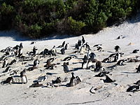 Picture 178.jpg Picture 178.jpg