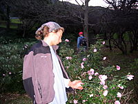 Picture 032.jpg Picture 032.jpg