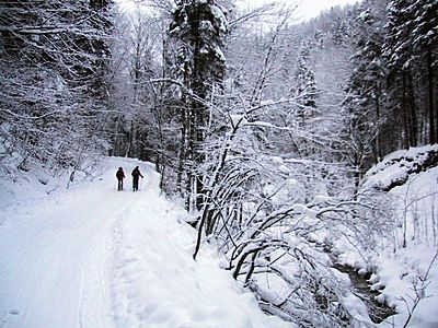 Bild1803.JPG