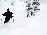 Bild1815.JPG Bild1815.JPG