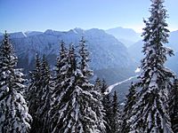 Bild1843.JPG Bild1843.JPG