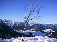 Bild1990.JPG Bild1990.JPG