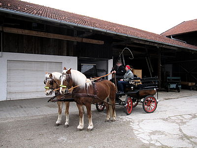 Kutschenfahren