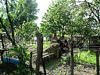 DSCF0276.JPG