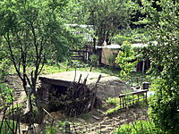DSCF0280.JPG