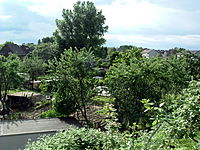 DSCF0279.JPG